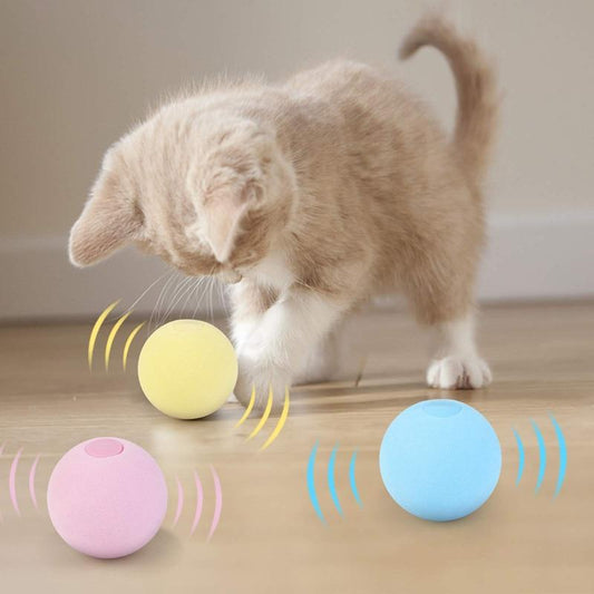 SmartBall™ - Balle intelligente d'apprentissage pour chat - Gros Minets
