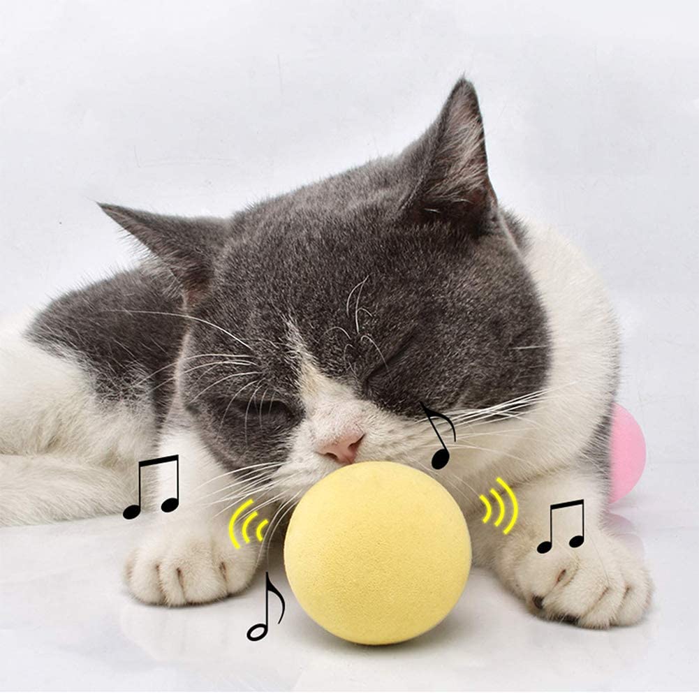 SmartBall™ - Balle intelligente d'apprentissage pour chat - Gros Minets